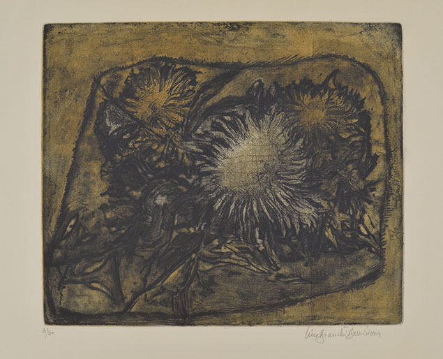 FIORI DI CARDO