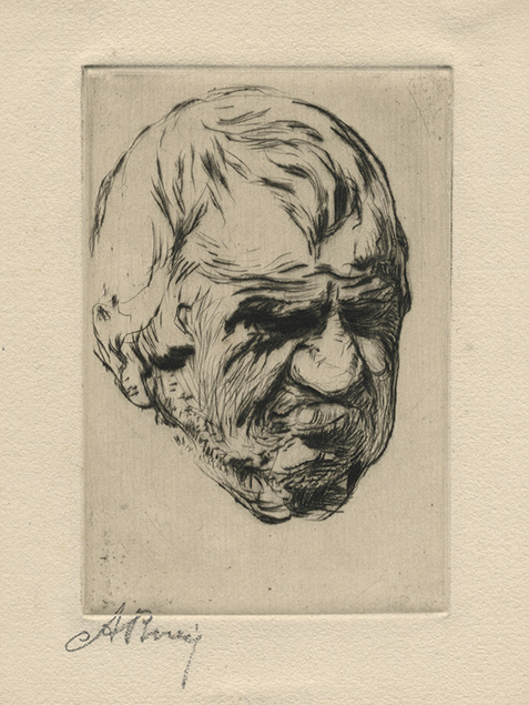 HEAD PORTRAIT OF AN OLD MAN