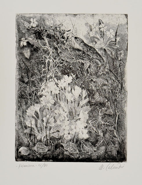PRIMAVERA
