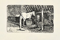 INTERNO DI STALLA CON CAVALLI (Inside Stable with Horses)