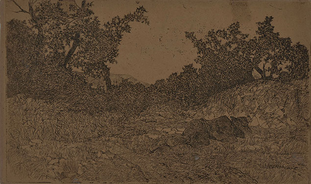LA SIESTA