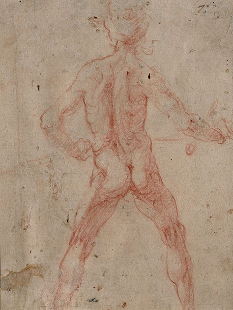 STANDING MALE NUDE VIEWED FROM THE BACK