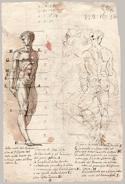 PROPORTION STUDIES OF STANDING MALE NUDE