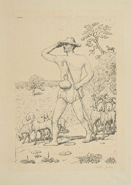 A SHEPHERD