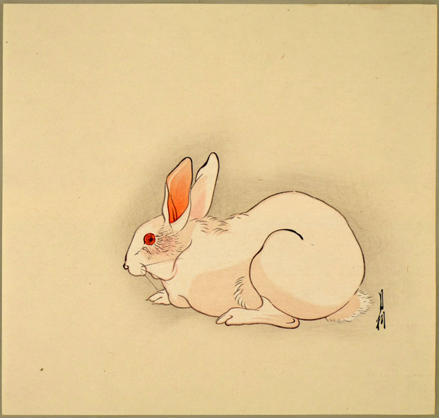 AN ALBINO RABBIT, SOLD