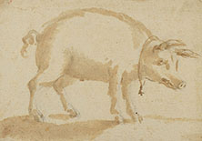 A PIG WITH BELL
