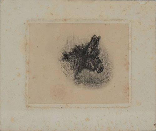 DONKEY'S HEAD, IN PROFILE TO THE RIGHT