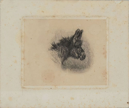 DONKEY'S HEAD, IN PROFILE TO THE RIGHT