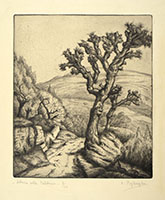 ALBERO ALLE CALDINE