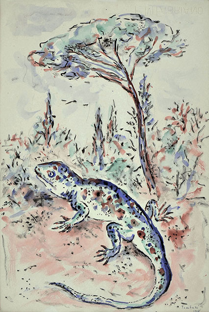 A GECKO IN A MEDITERRANEAN GARDEN