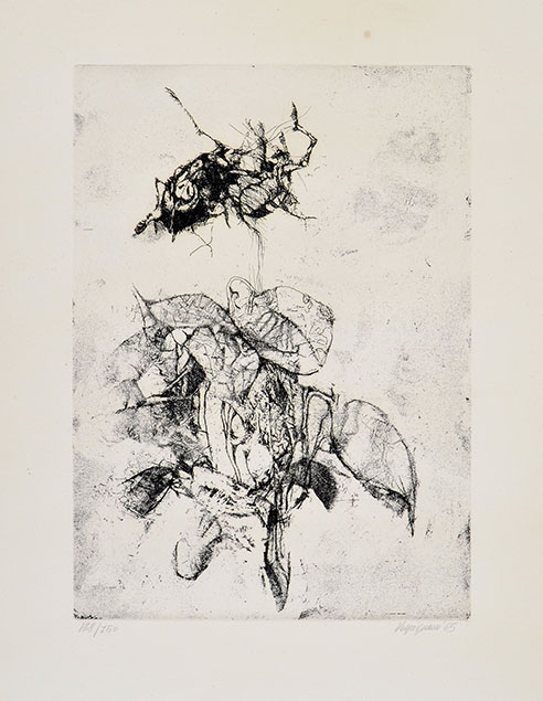 INSETTI